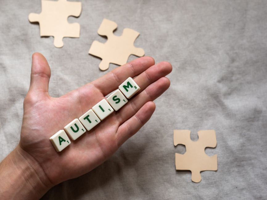Department of Intellectual and Developmental Disabilities: What It Does